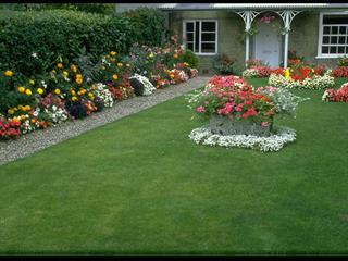 ارتباط بادوستان